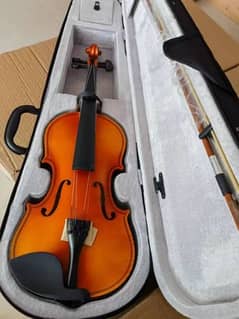 violin,