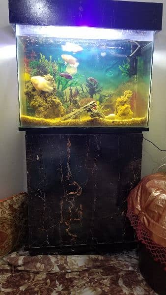 selling full set aquarium 4