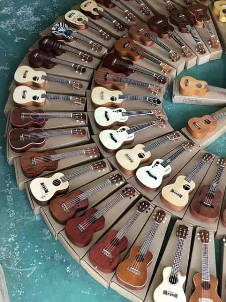 Beginner ukulele price in lahore, Ukulele, Beginner Guitars, violin, 0