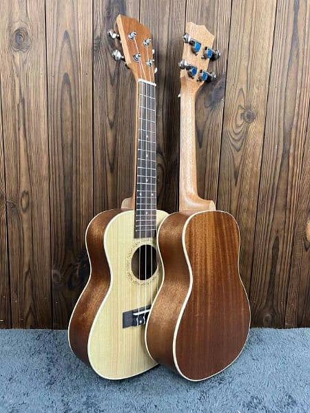 Beginner ukulele price in lahore, Ukulele, Beginner Guitars, violin, 4