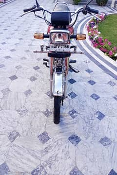 bike CD 70 all Punjab number
