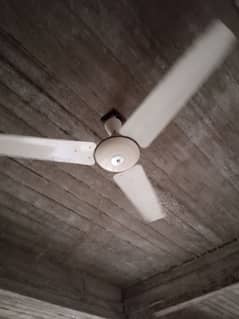 ceiling fans (A. J ) 0