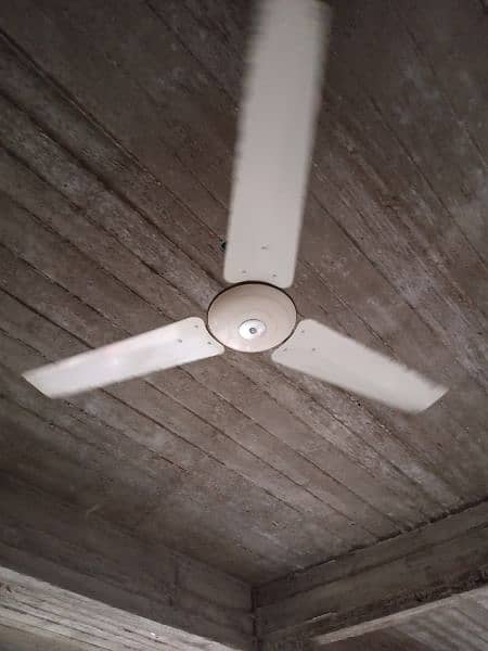 ceiling fans (A. J ) 1