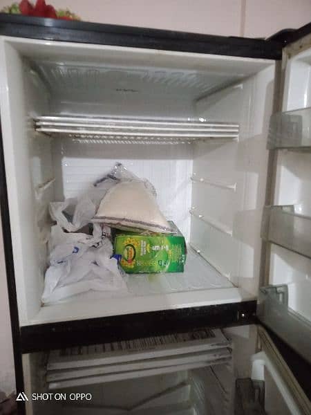 PEL big size fridge best for Bakra eid 3