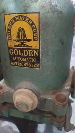 Golden Donkey Pump