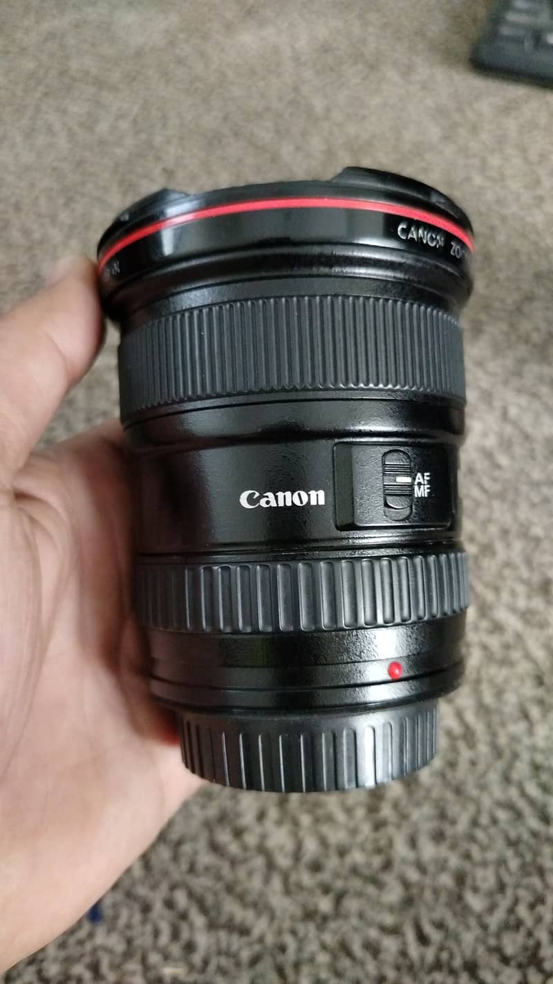 Canon 17/40 F4 . . 8/10 Forse I need some money . . work 100)100 ef lans 1