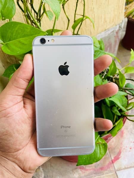 iPhone 6splus (Pta approved) 0