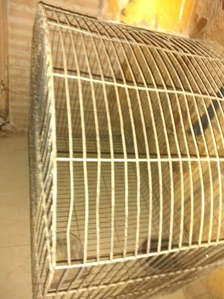 hen cage for sale 1