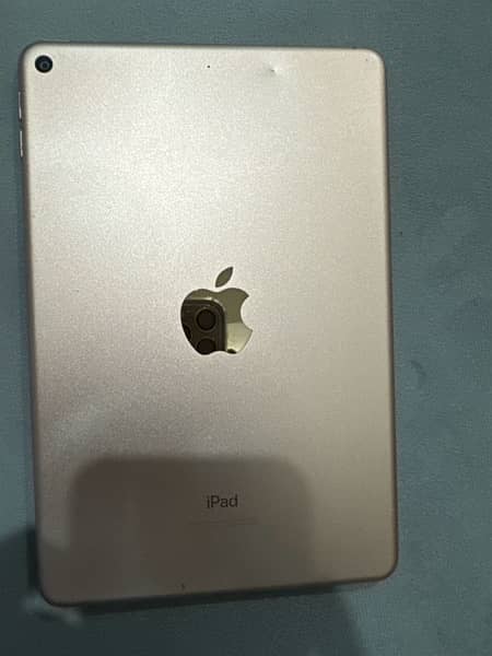 iPad Mini 5 1