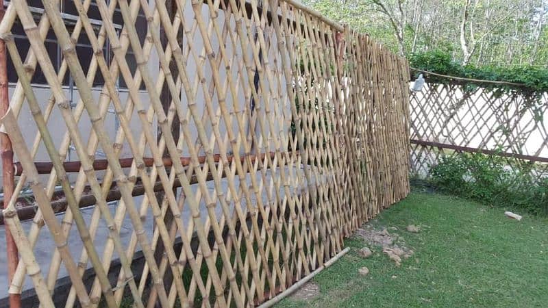 Bamboo wall 3