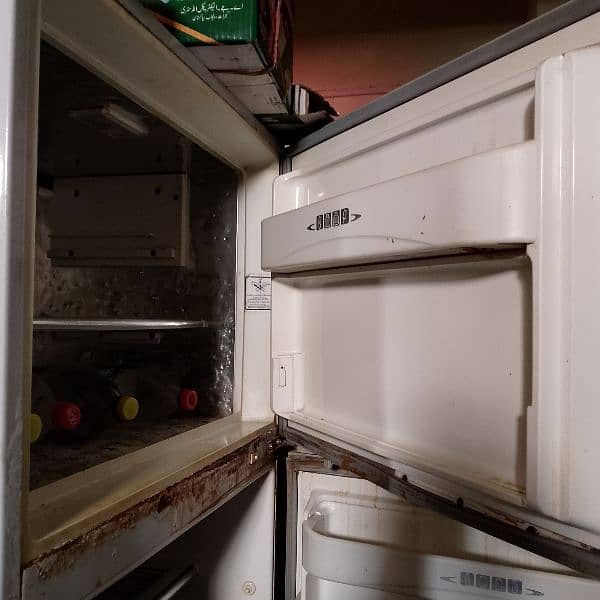 fridge Dalwnce 1