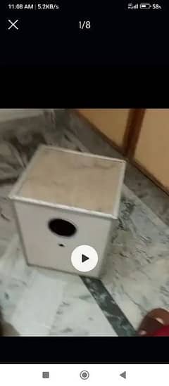 boxes love birds