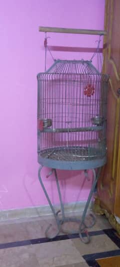Gray Parrot Cage