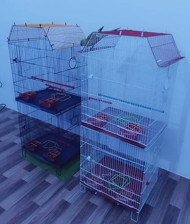 birds cages / cages for sale / cage / iron cage 2