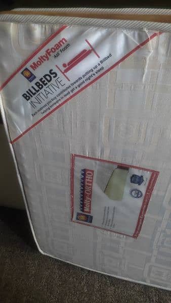 Molty-Ortho Medicated Mattress 1