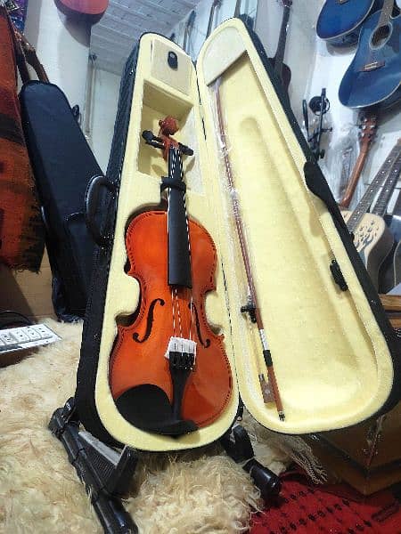Professional Violin 4/4 Size All Accessories For Beginners To Advance 2