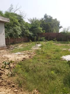 1 kanal plot available for sale Bahria Orchard . 0