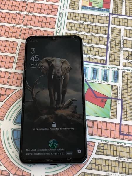 oppo f15 lush condition like new 2