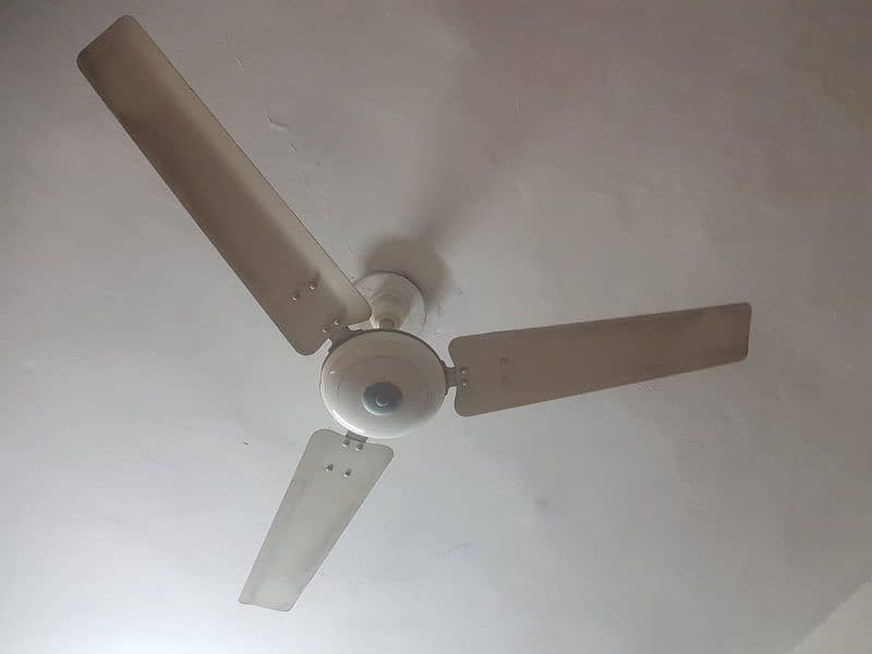 Ceiling Fan Full Size 1