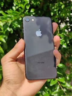 iphone 8 Non pta 64gb 92 helth full fresh 10by10 0
