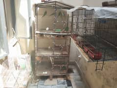 ALL PARROTS AND CAGES FOR SALE INCLUDING EVERYTHING THING
