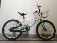 20 INCH IMPORTED CYCLE FOR 4 TO 12 YEARS KIDS 03165615065