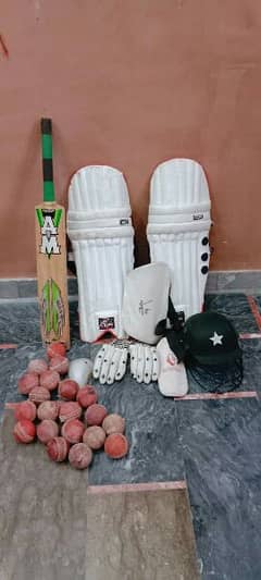 Hard Ball Cricket Kit