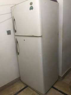 No frost fridge for sale