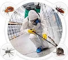 Termite/Pest control treatment/deemak control service/spray fumigation 3