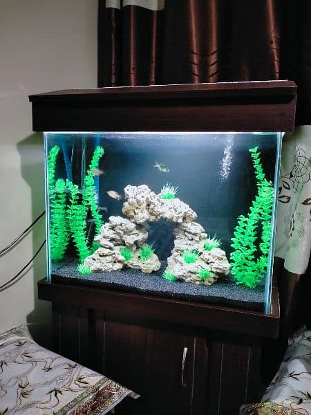 Artificial Planted Aquarium With Tiger Barb Fishes 1