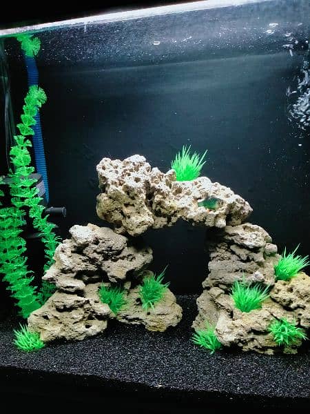 Artificial Planted Aquarium With Tiger Barb Fishes 9
