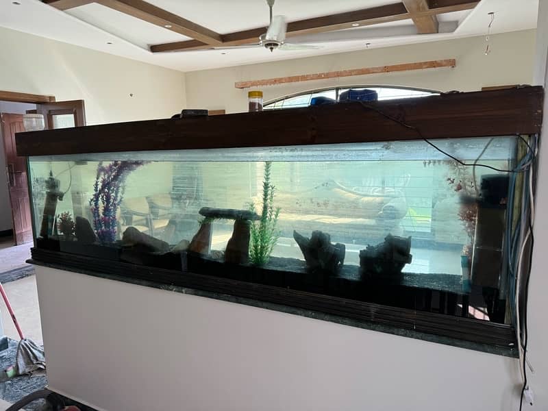 Fish Aquarium 2