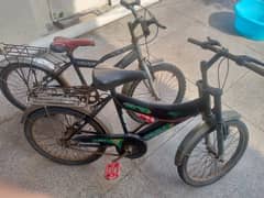 two Bicycles for kids