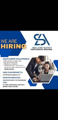 Sales executive required