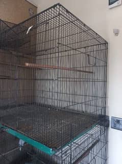 birds Avery cage available reason able price size 3 x 2 x 2