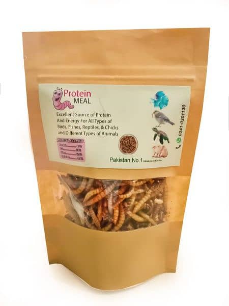 Mealworm Dry larva / live also available 2