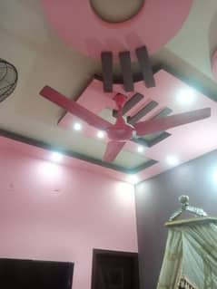 fan ( black and pink)