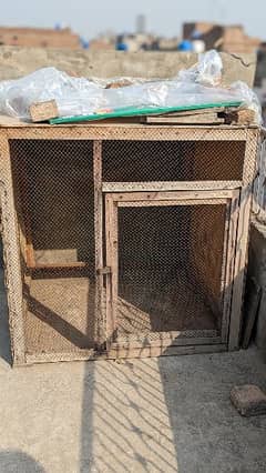 Cage for Pigeon/Hens 4by4
