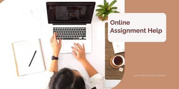 Online Assignment Work