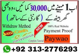 Daily earning + daily withdraw + online working