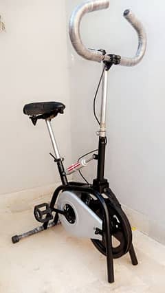 exercise Cycle 2 in 1