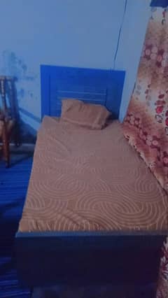 1 single bed with moltey foam mattress