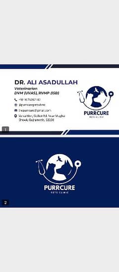 PurrCure Pets Clinic Gujranwala