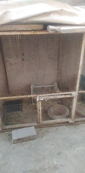 10 foot  length 5 cage  1 cage  2 foot 3