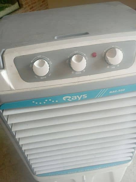 Brand new Rays Company cooler 3