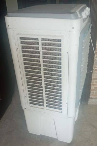 Brand new Rays Company cooler 4