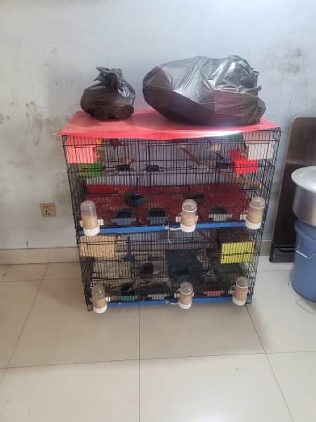 Urgent Sale Finches & dimond dove In Lahore also cages 9