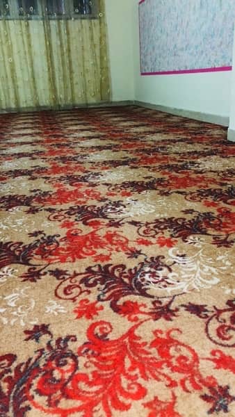 carpet 2