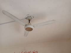 ac. dc fan for sell 0
