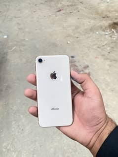 i phone 8 pta approved